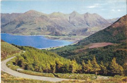 The Five Sisters Of Kintail And Loch Duich,  Wester Ross, Scotland - Dixon 3637, Posted 1967 - Ross & Cromarty