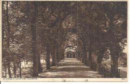 AN AVENUE IN CASTLE PARK. COLCHESTER. - Colchester