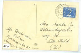 HANDGESCHREVEN POSTKAART Uit 1952 Van ARNEMUIDEN Naar DE BILDT (8890) - Cartas & Documentos