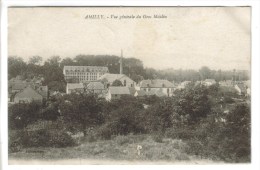 CPA AMILLY (Loiret) - Vue Générale Du Gros Moulin - Amilly