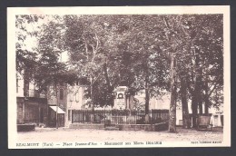 REALMONT - Place Jeanne D'Arc - Monument Aux Morts 1914 - 1918 - Realmont