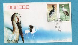 CIGOGNES - FDC - ENVELOPPE - CHINE - 1992 - - Picotenazas & Aves Zancudas