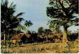 Afrique - Togo - Village De Siou -  Nord Togo - Togo