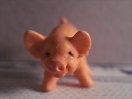 1 Figurine - Pig - Schweine