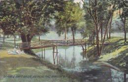 Ohio Marletta The Pond And Rustic Bridge Childerns Home 1908 - Other & Unclassified