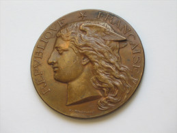 Médaille - MINISTERE DE L'AGRICULTURE - ConcoursRégional Agricole 1891 **** EN ACHAT IMMEDIAT **** - Professionnels / De Société