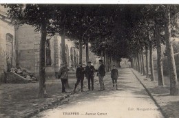 TRAPPES AVENUE CARNOT ANIMEE - Trappes