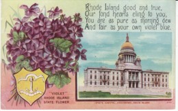 Providence Rhode Island, State Capitol Building, State Flower Violet, C1900s/10s Vintage Postcard - Providence