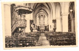 28741  -  Enghien  Edingen    Intérieur  église  Saint-Nicolas - Enghien - Edingen