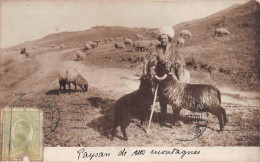 ¤¤  -  ROUMANIE   -  Carte Photo   -   Paysan Des Montagnes  -  Berger , Moutons  -  Oblitération  -  ¤¤ - Romania