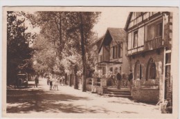 Morbihan :  CARNAC  ,   Avenue   Kermario  1950 - Cleguerec