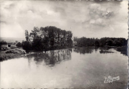 Cp 89 CHAMPIGNY Sur YONNE Les Bords De L´Yonne La Tuilerie ( Terre Cuite Tuile ) Forêt - Champigny