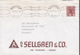 Norway SELLGREN & Co., TRONDHEIM 1972 Cover Brief To Denmark - Lettres & Documents