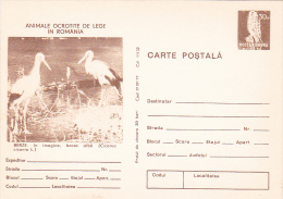 30A -  PELICANS,1977 POSTCARD STATIONERY UNUSED ROMANIA - Pelicans
