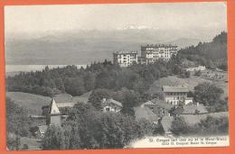 JAG-02 St.Cergue Et Mont-Blanc, Hotels. Non Circulé - Saint-Cergue