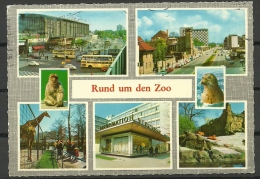 Deutschland Ansichtskarte Berlin Zoo - Tiergarten