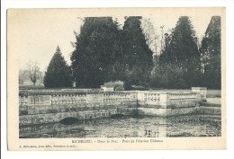Cp, 37, Richelieu, Dans Le Parc, Pont De L'Ancien Château, écrite - Other & Unclassified