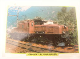 Fiche Technique Et Historique :  Locomotive "Crocodile" Du Saint Gothard - Suisse 1920 - Eisenbahnverkehr