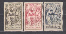 Guadeloupe  Y/T   Nr  200/202**  (a6p12) - Ungebraucht