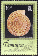 DOMINIQUE 1976 - YT 505 -  Coquillage -  Common Sundial - NEUF** - Dominica (...-1978)