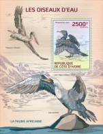 Ivory Coast. 2014 Water Birds. (122b) - Pelicans