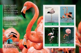 Uganda. 2014 Flamingos. (302a) - Flamants