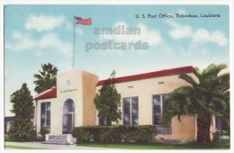 THIBODAUX LA Louisiana, U.S. Post Office Building C1950s Vintage Postcard - Other & Unclassified