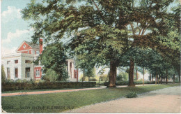 Alte AK Elizabeth New Jersey 1908, Salem Avenue - Elizabeth