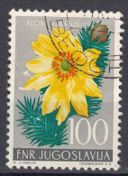Yugoslavia Republic 1955 Flowers Mi#773 Used - Gebraucht