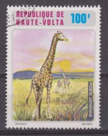 Haute Volta Used ; Giraffe, Jirafa, - Giraffes