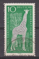 Duitsland, Deutschland, Germany, Allemagne DDR Used ; Giraffe, Jirafa - Giraffes