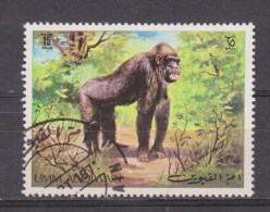 UMM AL QIWAIN Used ; Gorilla - Gorilas