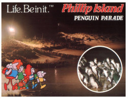 (250) Australia - VIC - Phillip Island Penguin Parade - Mornington Peninsula