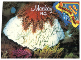 (250) Australia - QLD - Mackay - Mackay / Whitsundays