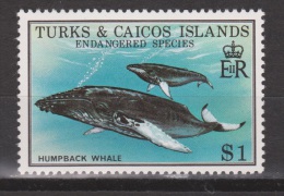 Turks & Cajcos Islands MNH; Walvis, Whale, Ballena, Baleine - Walvissen