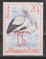 Hongarije, Hungary, Magyar Used ; Ooievaar, Stork, Cigogne, Ciguena - Cigognes & échassiers