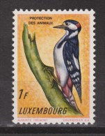 Luxemburg MLH  ; Specht, Pic, Pico, Woodpecker 1966 - Specht- & Bartvögel