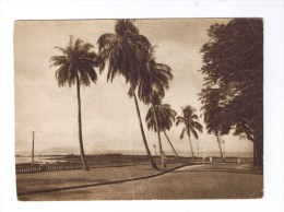 CONAKRY Le Phare Du Boulbinet Et Les Iles De Loos - Guinée