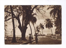 CONAKRY  Un De La Corniche Et Du Port - Guinée