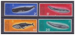 Territori Antartici Britannici - 1977 - Nuovo/new - Balene - Mi N. 64/67 - Unused Stamps