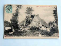 Carte Postale Ancienne : CRECY : Une Chaumière Dans Le Marais , En 1904 - Crecy En Ponthieu