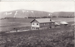 TROIS-FOURS-Ferme Auberge Restaurant Pension Propriétaire Martin SCHOTT - MUNSTER- ALSACE-HAUT-RHIN - - Munster