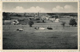 Maissin    :  Panorama - Paliseul