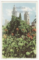 BRAZIL SAO PAULO PARTIAL VIEW - VISTA PARTIAL - SKYSCRAPERS - C1950s Vintage Unused Postcard - BRASIL - São Paulo
