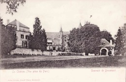 Souvenir De BEAUMONT - Le Château ( Vue Pris Edu Parc) - Beaumont