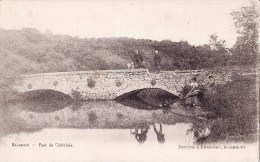 BEAUMONT - Pont Du Châtelain - Beaumont