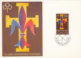 1249- SCOUTS, SCUTISME, CARTES MAXIMUM, CM, MAXICARD, 1981, LIECHTENSTEIN - Lettres & Documents