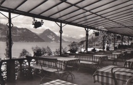 Suisse - Leissigen - Terrasse Hotel Kreuz - Leissigen