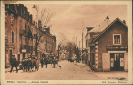 19  USSEL / Avenue Carnot / - Ussel