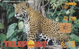 Peru, PER-TE-064 , Jaguar U Otorongo, 2 Scans . - Pérou